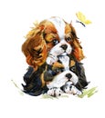 Cute Spaniel puppy dog watercolor illustration isolated on white. Royalty Free Stock Photo