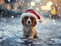 cute spaniel puppy in a Santa Claus hat in the snow Royalty Free Stock Photo