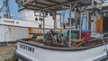 Cute Spaniel standing on the deck of a fishing trawler on foggy day Royalty Free Stock Photo