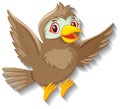 Cute sparrow bird cartoon character