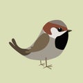 Cute sparrow comic illustration