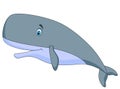 Cute sperm whale cartoon Royalty Free Stock Photo