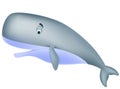 Cute sperm whale cartoon Royalty Free Stock Photo