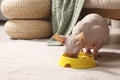 Cute Sphynx cat eating pet food from feeding bowl at home. Space for text Royalty Free Stock Photo