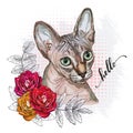 Cute Sphynx cat in flowers hand drawn vector illustration Royalty Free Stock Photo