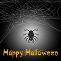 Cute spider and web with Happy Halloween text. Royalty Free Stock Photo