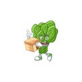 Cute spinach cartoon character style holding a box