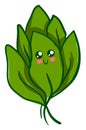 Cute spinach, illustration, vector