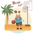 Cute Sporty monster illustration, graphic basketball player clip art, activities elements clipart