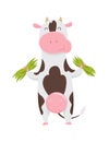 Cute spotted cow eating grass, funny farm animal cartoon character vector Illustration on a white background. Royalty Free Stock Photo