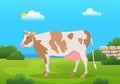 Cute spotted cow on meadow with green grass. Farm animal, domestic cattle in pasture, field