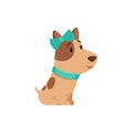 Cute spotted dog flat vector color illustration. Adorable jack russell with blue bow and collar.
