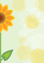 Cute spring background with orange flower and light green background, white and yellow bubbles, copy space, cheerfull simply illus