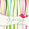 Cute spring bird illustration