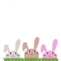 3 Cute Spring Bunnies in Grass isolated on White