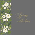 Cute Spring collection floral background with bouquets of rustic white roses flowers and green leaves branches Royalty Free Stock Photo