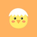 Cute spring easter chicken illustration Royalty Free Stock Photo
