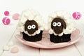 Cute spring sheep cupcakes on pink plate with Easter eggs Royalty Free Stock Photo