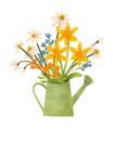 Cute spring summer bouquet of wild or garden Chamomile flowers with a watering can Royalty Free Stock Photo