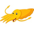 Cute squid cartoon