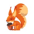 Cute Squirrel with Acorn, Funny Little Orange Rodent Animal Cartoon Character Vector illustration Royalty Free Stock Photo