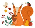 Cute squirrel with acorn insects, fruits. Vector autumn scene with adorable animal. Fall season woodland scenery for print,