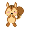 Cute squirrel animal cartoon vector illustration Royalty Free Stock Photo