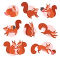 Cute Squirrel Animal Sitting and Jumping Vector Illustrations Set Royalty Free Stock Photo