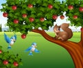 Cute squirrel on the apple tree Royalty Free Stock Photo