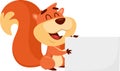 Cute Squirrel Cartoon Character Holding A Blank Sign Royalty Free Stock Photo