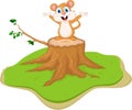 Cute squirrel cartoon holding nut on tree stump Royalty Free Stock Photo