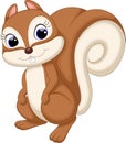 Cute squirrel cartoon