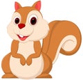 Cute squirrel cartoon