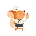 Cute squirrel in chef uniform holding cupcake, cartoon animal character cooking vector Illustration on a white