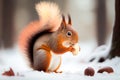 cute squirrel eats a nut in winter. Generative AI, Generative, AI