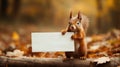 Cute squirrel with empty mock up sign in autumn forest. Space for text Royalty Free Stock Photo