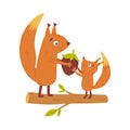 Cute squirrel family. Animal parent giving hazelnut to baby. Happy parenthood cartoon vector illustration