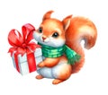 Cute squirrel in a scarf with a gift. Watercolor illustration