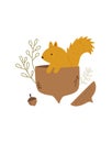 Cute squirrel sitting in an acorn, autumn scene. Vector illustration