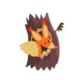 Cute squirrel sitting in hollow of tree, hollowed out old tree and cute animal cartoon character inside vector