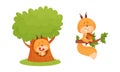 Cute squirrel various activities set. Lovely forest animal character sitting in hollow tree and tree branch vector Royalty Free Stock Photo