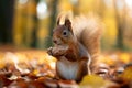 A cute squirrel with a walnut in its paws sits in the leaves in the autumn forest. Royalty Free Stock Photo