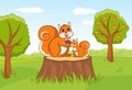 Cute squirrels at forest Royalty Free Stock Photo