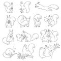 Cute squirrels with nuts and acorns. Set vector black white outline sketch cartoon isolated illustrations of animal