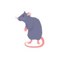 Cute standing gray rat flat style, vector illustration Royalty Free Stock Photo