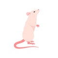 Cute standing mouse flat style, vector illustration Royalty Free Stock Photo