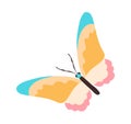 Cute sticker of colorful butterfly white background