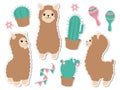 Cute sticker style collection of vector graphic brown fluffy  alpacas or llamas with cuctus rumba shakers and flowers Royalty Free Stock Photo