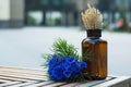 Cute still life of a bouquet of cornflowers and a glass jar with dried ears on the background of an urban landscape Royalty Free Stock Photo