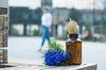 Cute still life of a bouquet of cornflowers and a glass jar with dried ears on the background of an urban landscape